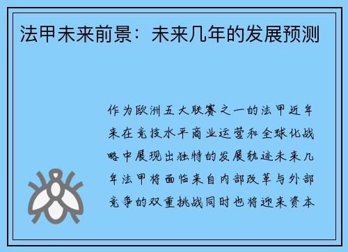 法甲未来前景：未来几年的发展预测
