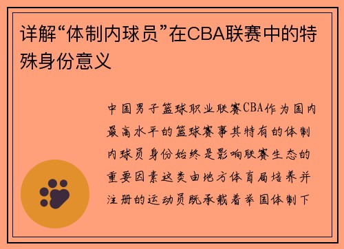 详解“体制内球员”在CBA联赛中的特殊身份意义